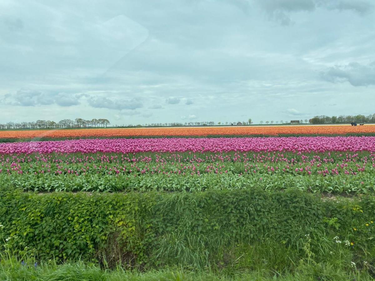 Krabbenkreek 2 Villa Sint Annaland Bagian luar foto