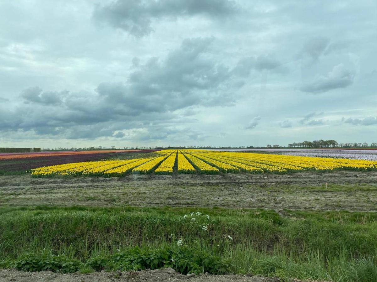 Krabbenkreek 2 Villa Sint Annaland Bagian luar foto