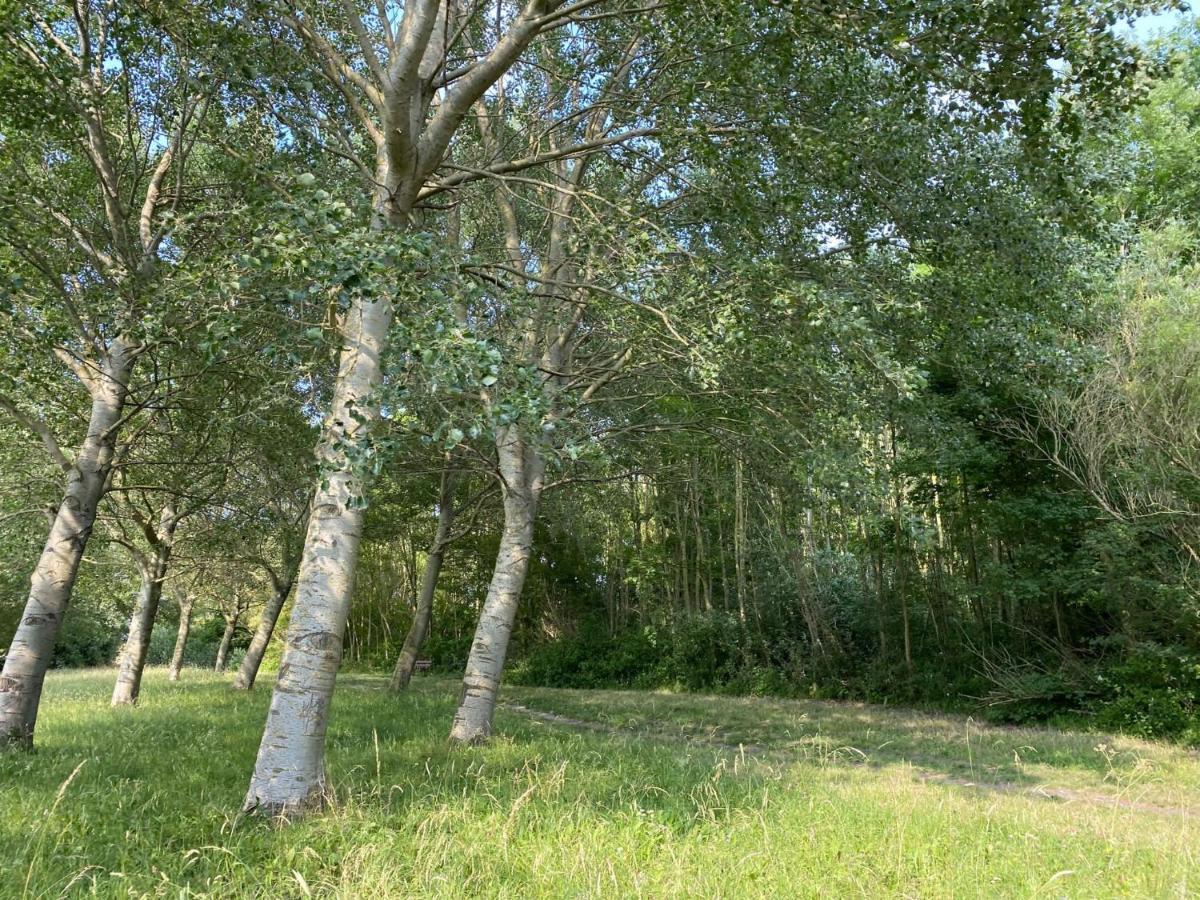 Krabbenkreek 2 Villa Sint Annaland Bagian luar foto