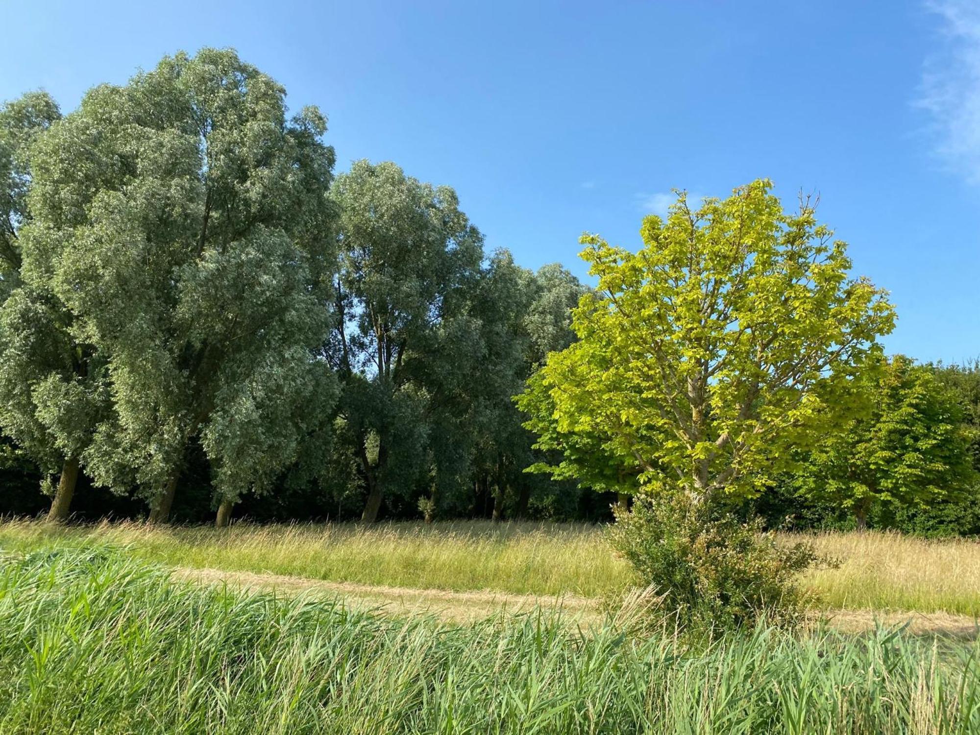 Krabbenkreek 2 Villa Sint Annaland Bagian luar foto