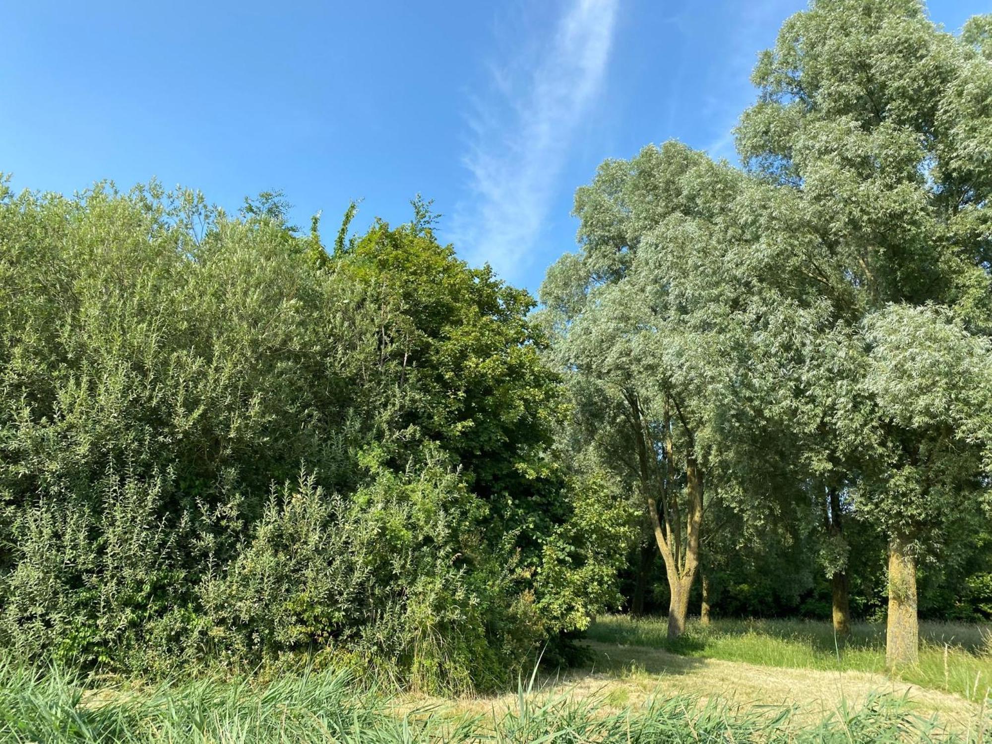 Krabbenkreek 2 Villa Sint Annaland Bagian luar foto