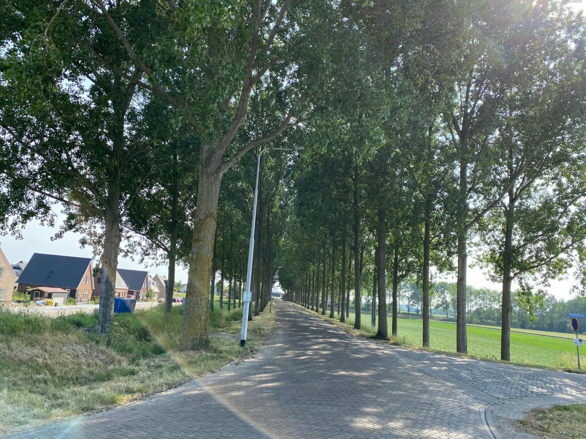 Krabbenkreek 2 Villa Sint Annaland Bagian luar foto