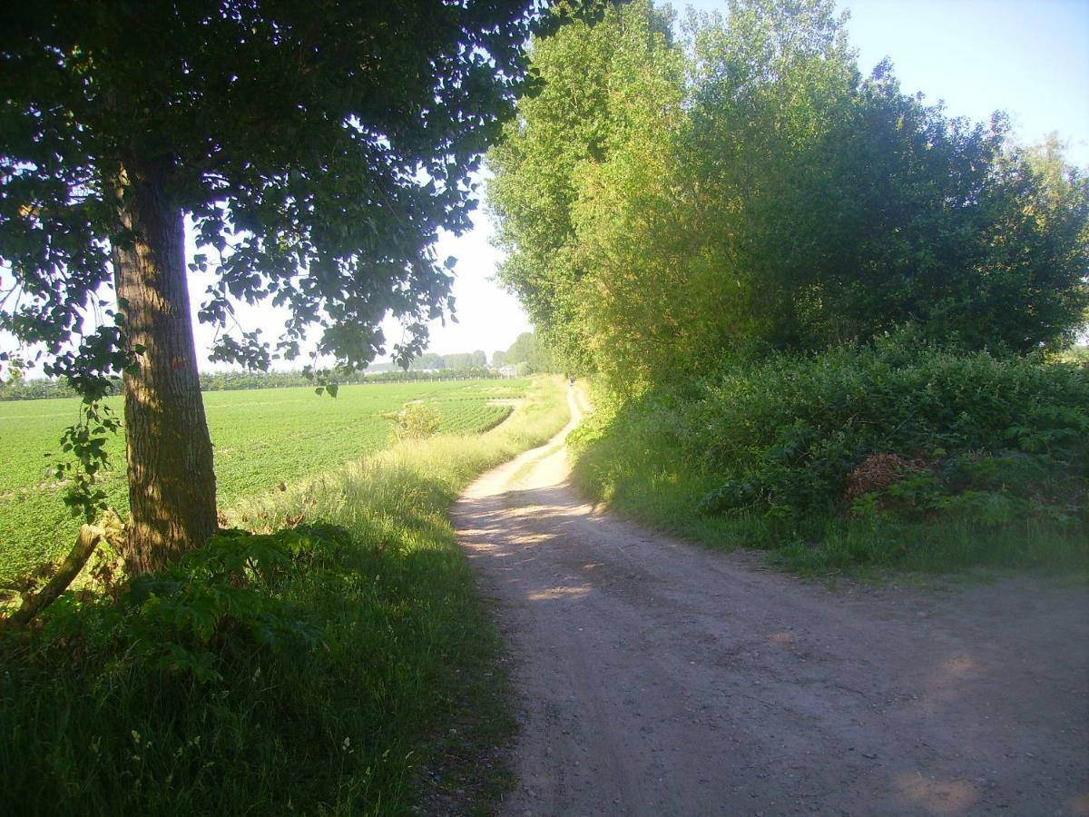 Krabbenkreek 2 Villa Sint Annaland Bagian luar foto